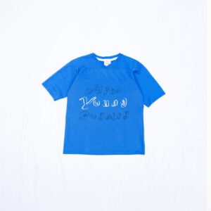Blue AYR t-shirt