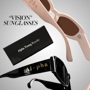 Vision sunglasses